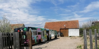 EduBuzz se extinde: În ograda din Augustin, unde copiii vin în fiecare zi, a ajuns al doilea autobuz. Planurile pentru 509 – FOTO