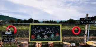 Școala în natură. Într-o comună din Bacău, elevii citesc pe dealurile de peste drum de școală și au o zonă de lectură, cu ”meniu” zilnic FOTO