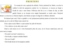 Subiectele la Limba română – Evaluarea Națională, clasa a IV-a. Miercuri are loc proba la Matematică