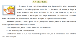 Subiectele la Limba română – Evaluarea Națională, clasa a IV-a. Miercuri are loc proba la Matematică
