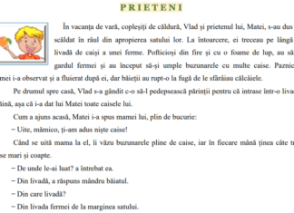 Subiectele la Limba română – Evaluarea Națională, clasa a IV-a. Miercuri are loc proba la Matematică