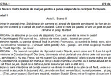 Evaluarea Națională 2021. Teste de antrenament pentru elevii de clasa a VIII-a – seturile 12 și 13. Baremele de notare UPDATE