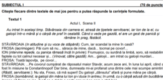 Evaluarea Națională 2021. Teste de antrenament pentru elevii de clasa a VIII-a – seturile 12 și 13. Baremele de notare UPDATE