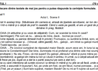 Evaluarea Națională 2021. Teste de antrenament pentru elevii de clasa a VIII-a – seturile 12 și 13. Baremele de notare UPDATE