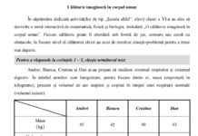 Evaluarea la clasa a VI-a va avea loc săptămâna viitoare. Modele de teste – Limbă şi comunicare/ Matematică şi Ştiinţe ale naturii
