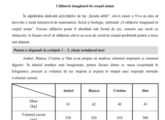 Evaluarea la clasa a VI-a va avea loc săptămâna viitoare. Modele de teste – Limbă şi comunicare/ Matematică şi Ştiinţe ale naturii