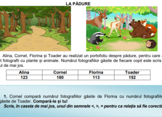 Subiectele la Matematică – Evaluarea Națională, clasa a II-a. Testele primite de elevi la proba de joi