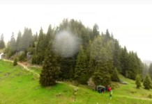 Lecție de geografie, transmisă live din Parcul Natural Bucegi, de la 1650 m altitudine – proiectul ”Educație la înălțime” VIDEO