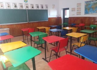 Un alt mod de a face școală, experimentat la o clasă de-a V-a: Tezele au fost eliminate, materia este predată pe arii de învățare