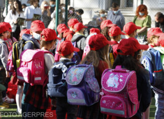 Subiectele la Limba română, Evaluarea Națională clasa a IV-a. Ce teste au avut de rezolvat elevii