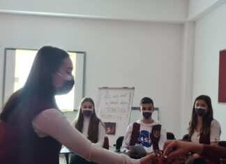 Ora de română, cu basme create de elevi, pantomimă și teatru de umbre. Profesoara Carmen Antohe: „Copiii au creativitate, sunt foarte inventivi”