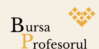 Bursa Profesorul Digital, in memoriam Raluca Ana Medeșan: 10.000 de lei pentru o idee care va aduce în clasă tehnologia și mediul digitalizat