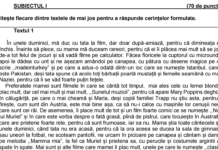 Simulare Evaluarea Națională 2022, județul Brăila. Subiectele și baremul la Limba și literatura română