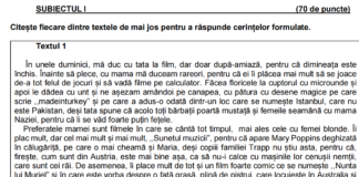Simulare Evaluarea Națională 2022, județul Brăila. Subiectele și baremul la Limba și literatura română
