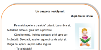 Elevii claselor a II-a, a IV-a și a VI-a vor susține evaluările naționale în luna mai. Calendar și modele de teste