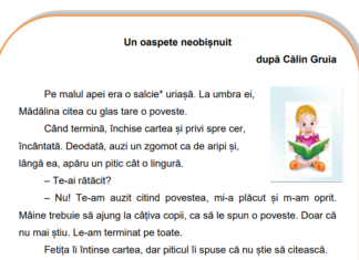 Elevii claselor a II-a, a IV-a și a VI-a vor susține evaluările naționale în luna mai. Calendar și modele de teste