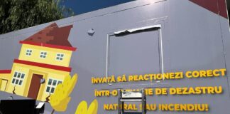 Cîmpeanu: În disciplina „Educație pentru viață” vor putea fi incluse și module de educație pentru situații de urgență și acordarea de prim ajutor