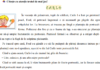 Evaluarea Națională 2022 la clasa a IV-a începe marți. Modele de teste la limba română și matematică