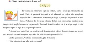 Evaluarea Națională 2022 la clasa a IV-a începe marți. Modele de teste la limba română și matematică