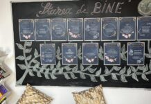 Ziua Stării de Bine, sărbătorită în școli. Activități în aer liber, jocuri, spații transformate: ”Lucruri simple care ne pot face să ne simțim minunat” FOTO