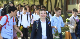 Opționale pentru elevii din clasele V-VIII: Educație pentru peisaj, Cultură digitală, Etică aplicată sau EduGaming – ordin al ministrului Educației