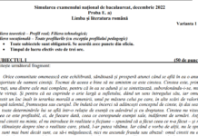 Simulare BAC 2023, Maramureș. Subiecte și bareme la Română, Matematică, Anatomie, Biologie, Logică, Fizică, Chimie, Informatică