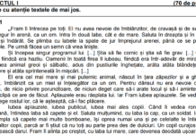 Evaluarea Națională 2023. Subiecte și bareme la Limba și literatura română și Matematică – Simulare, județul Maramureș
