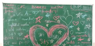 Bianca Meghea, elevă în clasa a VIII-a: „Profesoara mea de franceză este extraordinară. Ne ajută în orice situație și este mereu cu zâmbetul pe buze”