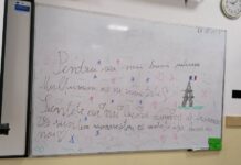 Valentina și Delia, eleve în clasa a VII-a, despre profesoara de limba franceză: „Să fii prea norocos să ai așa profesoară”/ „Ne învață să fim oameni”
