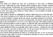 Simulare Evaluarea Națională 2023. Subiecte și bareme la Română și Matematică – simulare județeană Hunedoara
