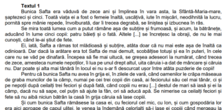 Simulare Evaluarea Națională 2023. Subiecte și bareme la Română și Matematică – simulare județeană Hunedoara