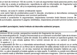 Bacalaureat 2023, simulare județeană Hunedoara. Subiectele și baremele de corectare la Română, Matematică și Istorie