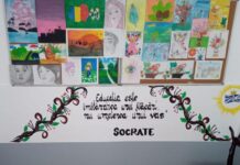 Ana Maria Vacariu, despre profesoara de română: „Este o persoană extraordinară, ne explică atât de bine lecțiile, ne ajută și ne înțelege mereu pe toți”
