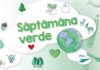 Săptămâna verde: școlile se pot înscrie în programul de finanțare în perioada mai-septembrie 2024. Ce activități sunt eligibile UPDATE