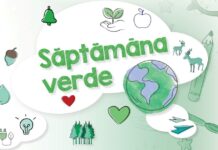 Săptămâna verde: școlile se pot înscrie în programul de finanțare în perioada mai-septembrie 2024. Ce activități sunt eligibile UPDATE