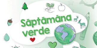 Săptămâna verde: școlile se pot înscrie în programul de finanțare în perioada mai-septembrie 2024. Ce activități sunt eligibile UPDATE