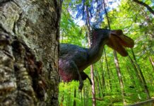 Acces gratuit pentru elevi și preșcolari la Dino Parc Râșnov, în cadrul programelor „Școala Altfel” și „Săptămâna Verde”
