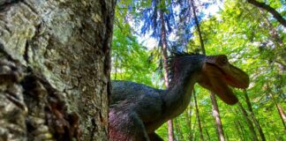 Acces gratuit pentru elevi și preșcolari la Dino Parc Râșnov, în cadrul programelor „Școala Altfel” și „Săptămâna Verde”