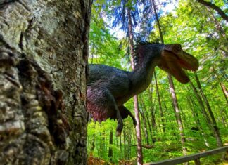 Acces gratuit pentru elevi și preșcolari la Dino Parc Râșnov, în cadrul programelor „Școala Altfel” și „Săptămâna Verde”
