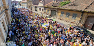 Proteste ale angajaților din educație în mai multe orașe din țară. La Sibiu, 3.000 de oameni au ieșit în stradă