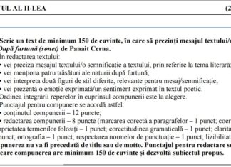 Teste de antrenament pentru Evaluarea Națională 2024, publicate de ISJ Vâlcea – Limba și literatura română și Matematică