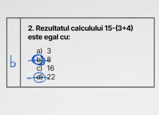 Reguli pentru redactarea lucrărilor scrise la Evaluarea Națională 2024, clasa a VIII-a. Cum se corectează greșelile la subiectele de tip grilă