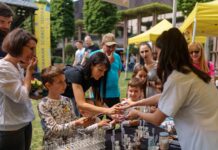 Târguri de experimente și caravană mobilă, la Romanian Science Festival 2024. Ediția din această toamnă, organizată în patru județe