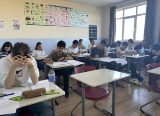 Olimpici la matematică. Drumul către medalii: ore peste program, antrenament prin concursuri, muncă individuală și profesori care inspiră