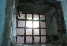 Istoria comunismului din România, disciplină obligatorie la clasele a XII-a și a XIII-a începând cu anul școlar viitor. Programa școlară, aprobată