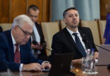 Daniel David: Am preluat portofoliul de ministru pentru a ajuta România euroatlantică să facă faţă unui demers bizar, izolaţionist, antiştiinţă