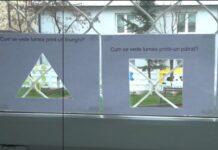 Profesorii Merito 2025. Indicii despre cei 12 laureați din acest an. Gala în care vor fi premiați va avea loc miercuri, 7 mai – VIDEO