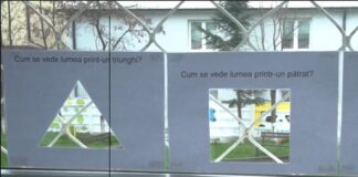Profesorii Merito 2025. Indicii despre cei 12 laureați din acest an. Gala în care vor fi premiați va avea loc miercuri, 7 mai – VIDEO