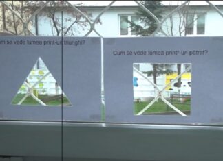 Profesorii Merito 2025. Indicii despre cei 12 laureați din acest an. Gala în care vor fi premiați va avea loc miercuri, 7 mai – VIDEO