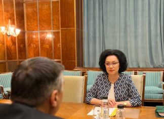 Luciana Antoci, consilier al premierului: Programa la Română „pare mai degrabă croită pe orizontul de nevoi al studenților din anul întâi de la Facultatea de Litere”